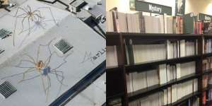 10 Kejahilan dengan `Level` Berbeda