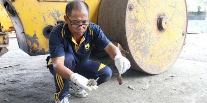 Misteri Ribuan Burung Pipit Mati Mendadak di Bali