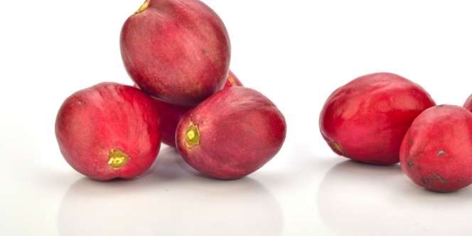 Manfaat Buah Mahkota Dewa untuk Kesehatan, Ternyata....