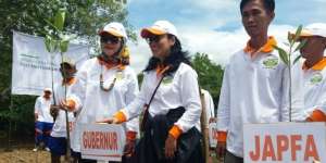 Mencegah Kerusakan Mangrove di Pesisir Lampung 