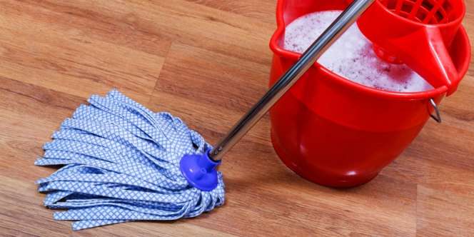 Aroma Sereh Mampu Menangkal Lalat dan Kecoa