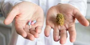 Pengobatan Herbal Tak Obati Kanker Payudara, Ini Alasannya
