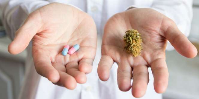 Pengobatan Herbal Tak Obati Kanker Payudara, Ini Alasannya
