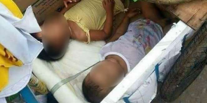 Isi Kardus Pedagang Buah Ini Sungguh Bikin Trenyuh