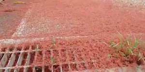 Jalanan Mendadak Berwarna Merah, Ternyata...