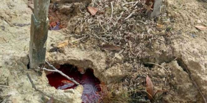Geger Kuburan di Kalimantan Tiba-tiba Keluarkan Darah Segar