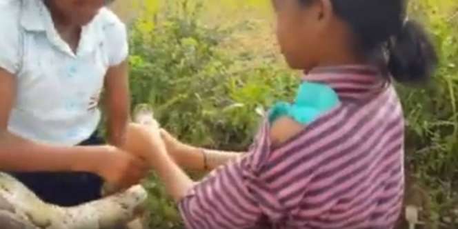 Aksi Berani 2 Gadis Cilik Tangkap Ular Raksasa Bikin Melongo