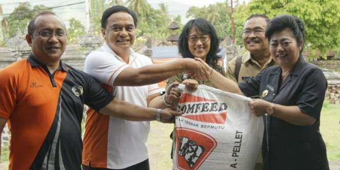 Menyelamatkan Aset Ternak Pengungsi Gunung Para Dewa