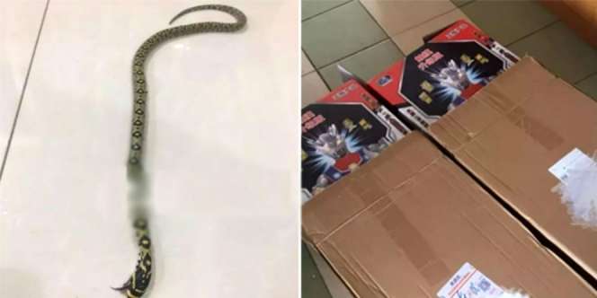 Pesan Mainan Ultraman di Olshop, Pas Dibuka Isinya Bikin Lemas