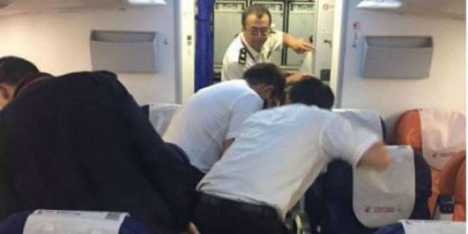Satu Pesawat Geger, Ada Ratusan Kecoa di Kabin