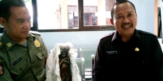 Geger! Satpol PP 'Diikuti' Jenglot di Pantai Surabaya