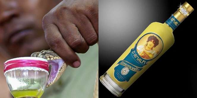 15 Cairan Termahal di Dunia, Harganya Ngga Main-main!