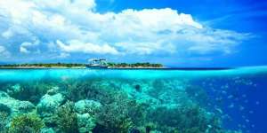 Keindahan Bawah Laut Indonesia 'Diboyong' ke 3 Kota Tiongkok