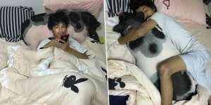 Terlihat Seperti Guling, Tak Tahunya Pria Ini Tidur dengan...