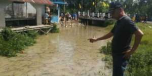 Merinding! Ribuan Hewan Aneh Muncul di Sungai Kalimantan