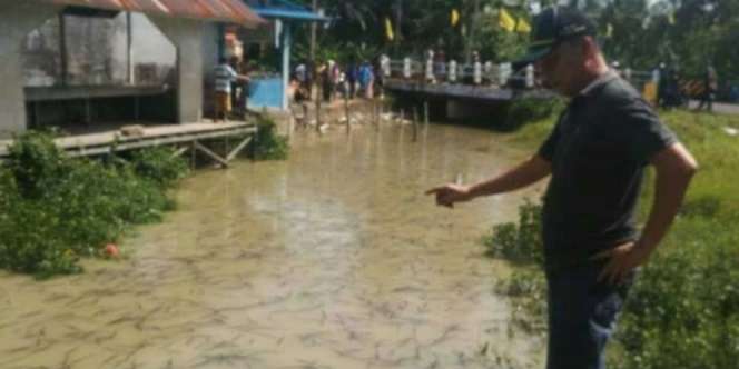 Merinding! Ribuan Hewan Aneh Muncul di Sungai Kalimantan