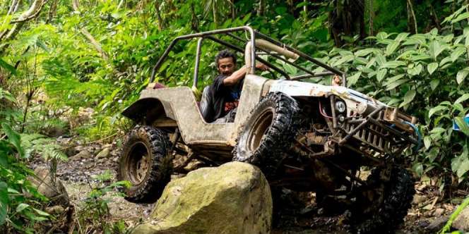 Serunya Offroad Menembus Hutan Pinus di Desa Wisata Nglinggo