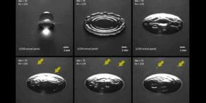 Aroma Hujan Menyegarkan, Ini Penjelasan Ilmiahnya