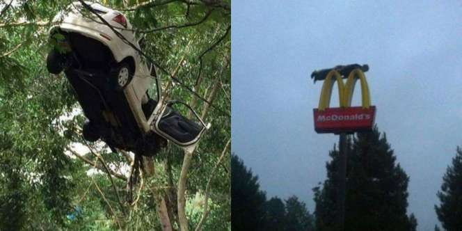 27 Foto Peristiwa Konyol yang Bikin Banyak Orang Keheranan