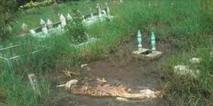 Cerita Sebenarnya Mayat Masih Berkafan Keluar dari Makam