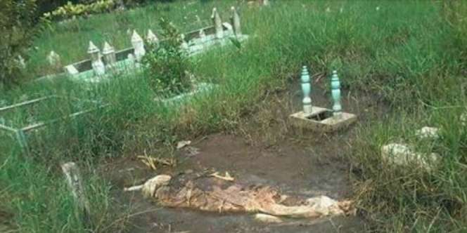 Cerita Sebenarnya Mayat Masih Berkafan Keluar dari Makam