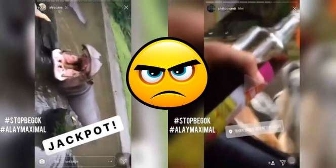 Remaja Cekoki Miras ke Hewan Taman Safari, Jangan Ditiru!