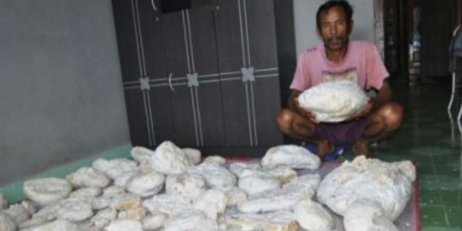 Muntahan Ikan Paus Ditawar Rp3,3 Miliar, Nelayan Kaya Mendadak