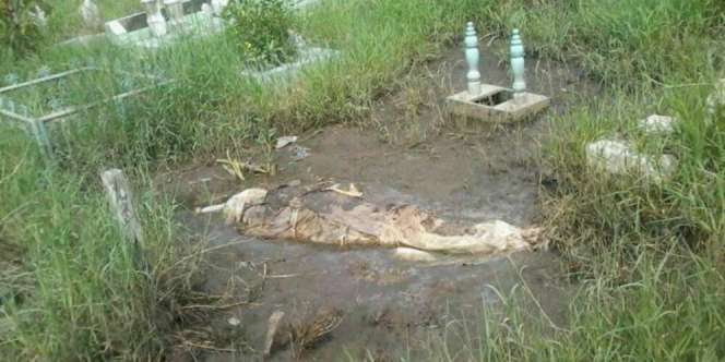 Fakta di Balik Video Jasad Muncul ke Permukaan Makam