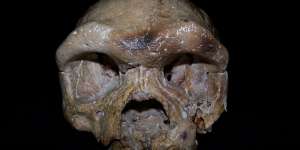 Temuan Tengkorak Ini Bisa Mengubah Teori Asal-usul Manusia