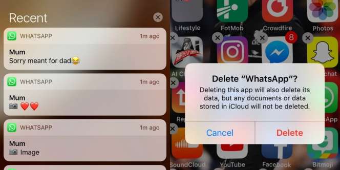 Dapat Chat Foto Nyasar dari Ibu, Penasaran Ternyata Gambar...