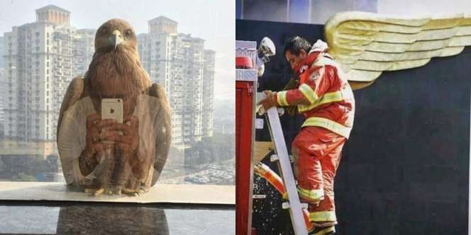 Timing 18 Foto Ini Benar-benar Pas, Sulit Dipercaya!