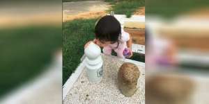 Foto Gadis Kecil Cium Pusara Ayahnya Bikin Terenyuh