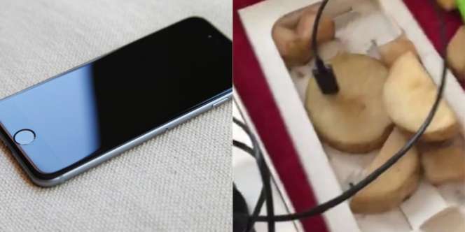 Beli iPhone Harga Murah, Saat Dibuka Isinya...