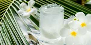 5 Rekomendasi Minuman Penyegar Tubuh