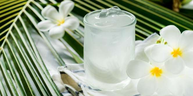 5 Rekomendasi Minuman Penyegar Tubuh