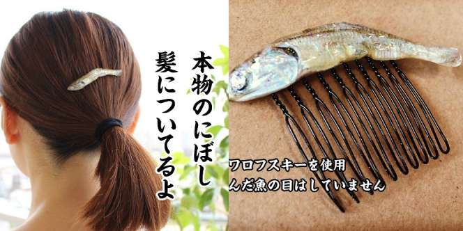 Desainer Jepang Bikin Jepit Rambut dari Ikan, Aneh atau Keren?