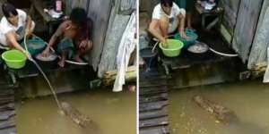 Viral! Buaya Anteng 'Temani' Emak-emak Mencuci