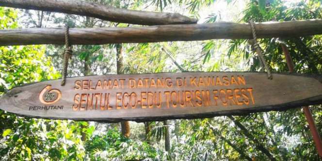 Wisata Hutan Sentul Disiapkan Jadi Taman Hiburan Kelas Dunia
