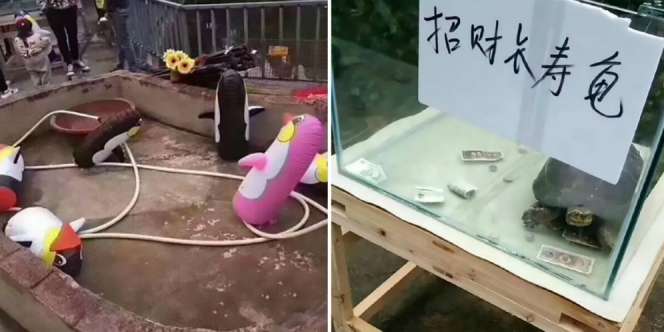 Kebun Binatang Terburuk dan Bikin Ngakak Sedunia