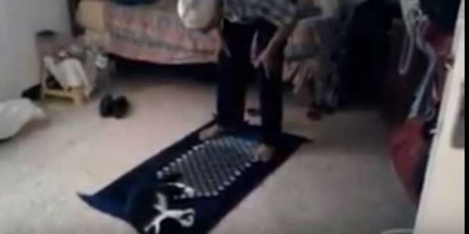 Aksi Kucing Ganggu Majikan Sholat Bikin Gemas