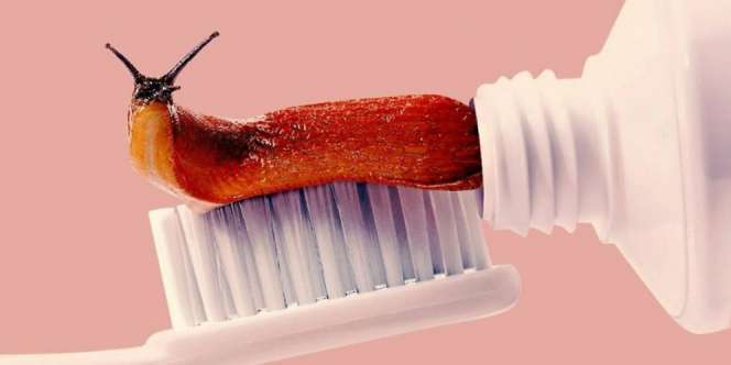 15 Mashup Foto Tergokil! Bisa Mengecoh Mata