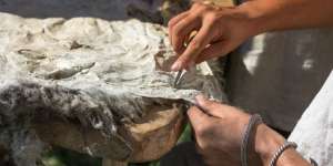 Apakah Kulit Bangkai Jadi Suci Usai Disamak?