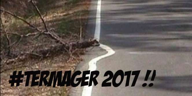 Orang-orang Super 'Mager' Ini Termasuk Jenius dan Kreatif?