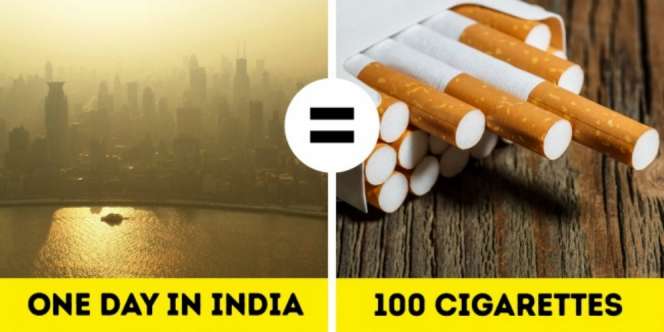 19 Hal Unik Dunia yang Cuma Ada di India