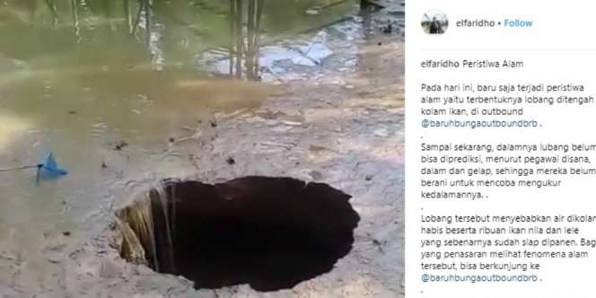 Lubang Misterius Muncul di Kolam, Ribuan Ikan Tersedot