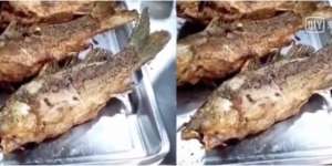 Geger! Ikan Dimasak Sampai Garing `Hidup` Lagi