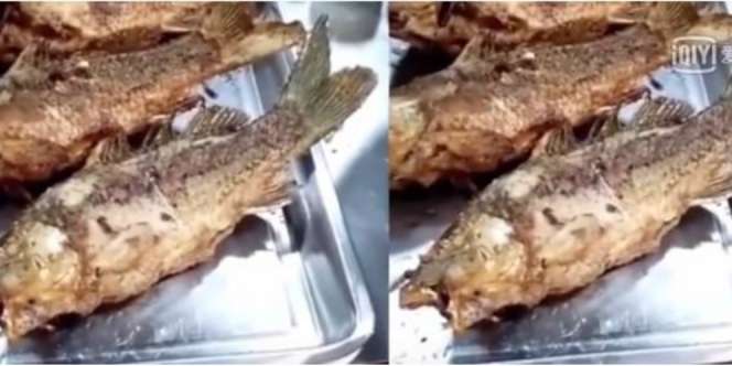 Geger! Ikan Dimasak Sampai Garing `Hidup` Lagi