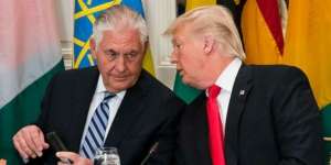 Buku Rahasia Donald Trump Selaris Harry Potter