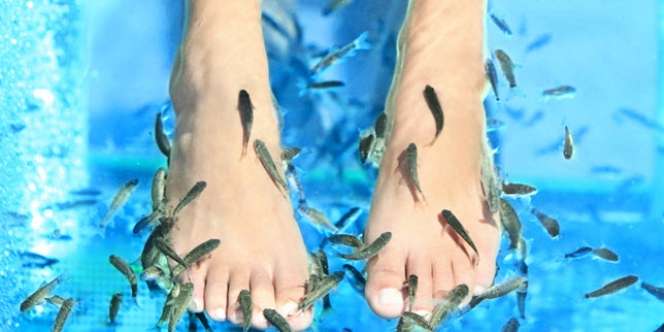 Kaki Super-Bau, Semua Ikan di Kolam Terapi Ini Mati!