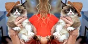 Kucing Miliarder, Kaya Gara-gara Foto Rp9 Miliar